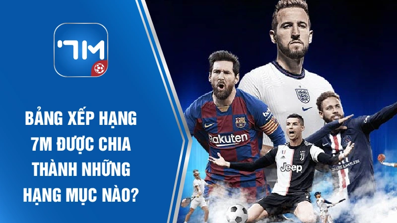 Bảng xếp hạng 7M được phân chia thành những hạng mục nào?