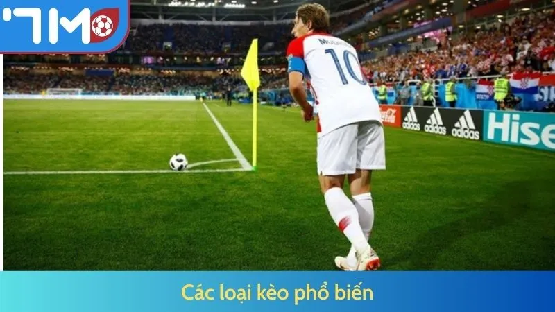 Các loại kèo phổ biến